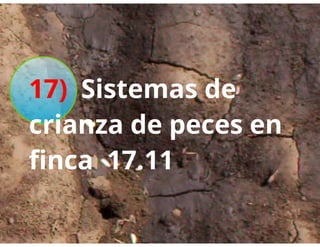 Universidad innova-cambioclimatico