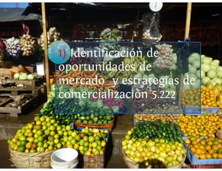 Universidad innova-cambioclimatico