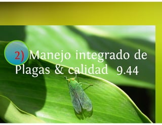 Universidad innova-cambioclimatico