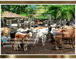 Universidad innova-cambioclimatico