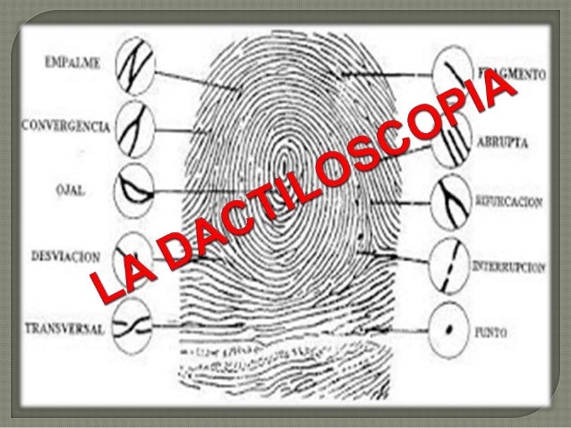 LA DACTILOSCOPIA Y EL TID