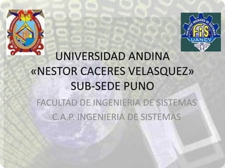 UNIVERSIDAD ANDINA
«NESTOR CACERES VELASQUEZ»
      SUB-SEDE PUNO
FACULTAD DE INGENIERIA DE SISTEMAS
   C.A.P. INGENIERIA DE SISTEMAS
 