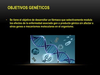 OBJETIVOS GENÉTICOS
• Se tiene el objetivo de desarrollar un fármaco que selectivamente modula
los efectos de la enfermedad asociada gen o producto génico sin afectar a
otros genes o mecanismos moleculares en el organismo.
 