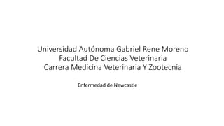 Universidad Autónoma Gabriel Rene Moreno
Facultad De Ciencias Veterinaria
Carrera Medicina Veterinaria Y Zootecnia
Enfermedad de Newcastle
 