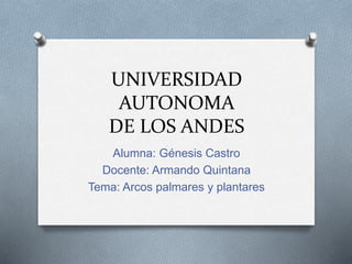 UNIVERSIDAD
AUTONOMA
DE LOS ANDES
Alumna: Génesis Castro
Docente: Armando Quintana
Tema: Arcos palmares y plantares
 