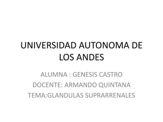 UNIVERSIDAD AUTONOMA DE
LOS ANDES
ALUMNA : GENESIS CASTRO
DOCENTE: ARMANDO QUINTANA
TEMA:GLANDULAS SUPRARRENALES
 