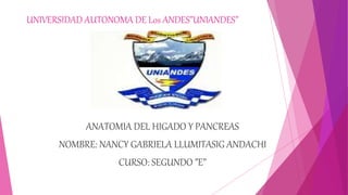 UNIVERSIDAD AUTONOMA DE Los ANDES”UNIANDES”
ANATOMIA DEL HIGADO Y PANCREAS
NOMBRE: NANCY GABRIELA LLUMITASIG ANDACHI
CURSO: SEGUNDO ”E”
 