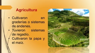 Agricultura
• Cultivaron en
graderías o sistemas
de andenes.
• Tuvieron sistemas
de regadío.
• Cultivaron la papa y
el maíz.
 