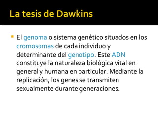 El  genoma  o sistema genético situados en los  cromosomas  de cada individuo y determinante del  genotipo . Este  ADN  constituye la naturaleza biológica vital en general y humana en particular. Mediante la replicación, los genes se transmiten sexualmente durante generaciones.  