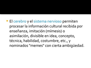 El  cerebro  y el  sistema nervioso  permiten procesar la información cultural recibida por enseñanza, imitación (mímesis) o asimilación, divisible en idea, concepto, técnica, habilidad, costumbre, etc., y nominados "memes" con cierta ambigüedad.  