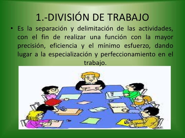 COMERCIO Y ADMINISTRACION ETAPAS DE LA ORGANIZACION POR