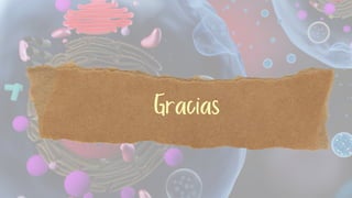 Gracias
 