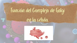 Función del Complejo de Golgi
en la célula.
 