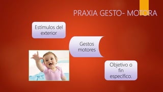PRAXIA GESTO- MOTORA
Estímulos del
exterior
Objetivo o
fin
específico.
Gestos
motores
 