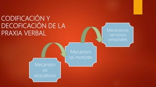 CODIFICACIÓN Y
DECOFICACIÓN DE LA
PRAXIA VERBAL
Mecanismos
nerviosos
sensoriales
Mecanism
os motores
Mecanism
os
asociativos
 