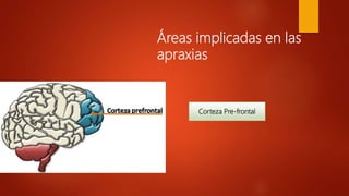 Áreas implicadas en las
apraxias
Corteza Pre-frontal
 