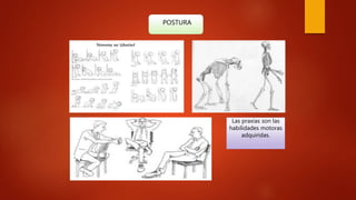 POSTURA
Las praxias son las
habilidades motoras
adquiridas.
 