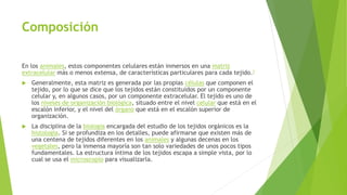 Composición
En los animales, estos componentes celulares están inmersos en una matriz
extracelular más o menos extensa, de características particulares para cada tejido.1
 Generalmente, esta matriz es generada por las propias células que componen el
tejido, por lo que se dice que los tejidos están constituidos por un componente
celular y, en algunos casos, por un componente extracelular. El tejido es uno de
los niveles de organización biológica, situado entre el nivel celular que está en el
escalón inferior, y el nivel del órgano que está en el escalón superior de
organización.
 La disciplina de la biología encargada del estudio de los tejidos orgánicos es la
histología. Si se profundiza en los detalles, puede afirmarse que existen más de
una centena de tejidos diferentes en los animales y algunas decenas en los
vegetales, pero la inmensa mayoría son tan solo variedades de unos pocos tipos
fundamentales. La estructura íntima de los tejidos escapa a simple vista, por lo
cual se usa el microscopio para visualizarla.
 