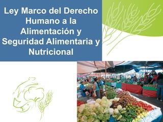 Ley Marco del Derecho
Humano a la
Alimentación y
Seguridad Alimentaria y
Nutricional
 