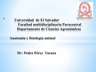 Anatomía y fisiología animal
* Universidad de El Salvador
Facultad multidisciplinaria Paracentral
Departamento de Ciencias Agronómicas
Dr: Pedro Pérez Varaza
 