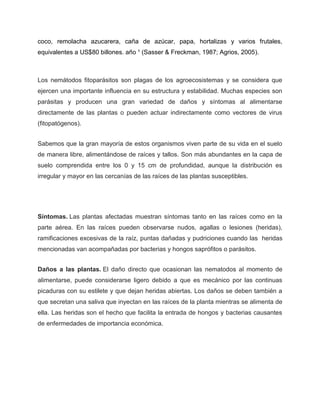 coco, remolacha azucarera, caña de azúcar, papa, hortalizas y varios frutales,
equivalentes a US$80 billones. año ¹ (Sasser & Freckman, 1987; Agrios, 2005).
Los nemátodos fitoparásitos son plagas de los agroecosistemas y se considera que
ejercen una importante influencia en su estructura y estabilidad. Muchas especies son
parásitas y producen una gran variedad de daños y síntomas al alimentarse
directamente de las plantas o pueden actuar indirectamente como vectores de virus
(fitopatógenos).
Sabemos que la gran mayoría de estos organismos viven parte de su vida en el suelo
de manera libre, alimentándose de raíces y tallos. Son más abundantes en la capa de
suelo comprendida entre los 0 y 15 cm de profundidad, aunque la distribución es
irregular y mayor en las cercanías de las raíces de las plantas susceptibles.
Síntomas. Las plantas afectadas muestran síntomas tanto en las raíces como en la
parte aérea. En las raíces pueden observarse nudos, agallas o lesiones (heridas),
ramificaciones excesivas de la raíz, puntas dañadas y pudriciones cuando las heridas
mencionadas van acompañadas por bacterias y hongos saprófitos o parásitos.
Daños a las plantas. El daño directo que ocasionan las nematodos al momento de
alimentarse, puede considerarse ligero debido a que es mecánico por las continuas
picaduras con su estilete y que dejan heridas abiertas. Los daños se deben también a
que secretan una saliva que inyectan en las raíces de la planta mientras se alimenta de
ella. Las heridas son el hecho que facilita la entrada de hongos y bacterias causantes
de enfermedades de importancia económica.
 