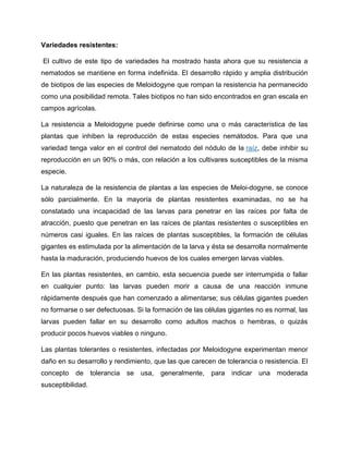 Variedades resistentes:
El cultivo de este tipo de variedades ha mostrado hasta ahora que su resistencia a
nematodos se mantiene en forma indefinida. El desarrollo rápido y amplia distribución
de biotipos de las especies de Meloidogyne que rompan la resistencia ha permanecido
como una posibilidad remota. Tales biotipos no han sido encontrados en gran escala en
campos agrícolas.
La resistencia a Meloidogyne puede definirse como una o más característica de las
plantas que inhiben la reproducción de estas especies nemátodos. Para que una
variedad tenga valor en el control del nematodo del nódulo de la raíz, debe inhibir su
reproducción en un 90% o más, con relación a los cultivares susceptibles de la misma
especie.
La naturaleza de la resistencia de plantas a las especies de Meloi-dogyne, se conoce
sólo parcialmente. En la mayoría de plantas resistentes examinadas, no se ha
constatado una incapacidad de las larvas para penetrar en las raíces por falta de
atracción, puesto que penetran en las raíces de plantas resistentes o susceptibles en
números casi iguales. En las raíces de plantas susceptibles, la formación de células
gigantes es estimulada por la alimentación de la larva y ésta se desarrolla normalmente
hasta la maduración, produciendo huevos de los cuales emergen larvas viables.
En las plantas resistentes, en cambio, esta secuencia puede ser interrumpida o fallar
en cualquier punto: las larvas pueden morir a causa de una reacción inmune
rápidamente después que han comenzado a alimentarse; sus células gigantes pueden
no formarse o ser defectuosas. Si la formación de las células gigantes no es normal, las
larvas pueden fallar en su desarrollo como adultos machos o hembras, o quizás
producir pocos huevos viables o ninguno.
Las plantas tolerantes o resistentes, infectadas por Meloidogyne experimentan menor
daño en su desarrollo y rendimiento, que las que carecen de tolerancia o resistencia. El
concepto de tolerancia se usa, generalmente, para indicar una moderada
susceptibilidad.
 