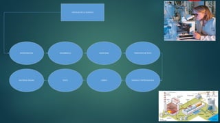 VENTAJAS DE LA QUIMICA
INVESTIGACION DESARROLLO MEDICINAS PRINCIPIOS ACTIVOS
MATERIAS PRIMAS TEXTIL VIDRIO ENERGIA Y PETROQUIMICA
 