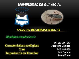 UNIVERSIDAD DE GUAYAQUIL

FACULTAD DE CIENCIAS MEDICAS
Rhodnius ecuadoriensis
INTEGRANTES:
Jaqueline Campos
Paola Campos
Luis Dorado
Helen Freire

 