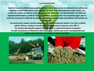5.LAS DESVENTAJAS 
Quizá el mayor problema que pueden generar estos procesos es la utilización de cultivos de 
vegetales comestibles (sirva como ejemplo el maíz, muy adecuado para estos usos), o el 
cambio de cultivo en tierras, hasta ese momento dedicadas a la alimentación, al cultivo de 
vegetales destinados a producir biocombustibles, que los países ricos pueden pagar, pero a 
costa de encarecer la dieta de los países más pobres, aumentando el problema del hambre en 
el mundo. 
Su incineración puede resultar peligrosa y producir sustancias tóxicas. Por ello se deben 
utilizar filtros y realizar la combustión a temperaturas mayores a los 900 °C. 
No existen demasiados lugares idóneos para su aprovechamiento ventajoso. 
Al subir los precios se financia la tala de bosques nativos que serán reemplazados por 
cultivos de productos con destino a biocombustible. 
 