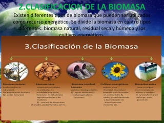 2.CLASIFICACION DE LA BIOMASA 
Existen diferentes tipos de biomasa que pueden ser utilizados 
como recurso energético. Se divide la biomasa en cuatro tipos 
diferentes: biomasa natural, residual seca y húmeda y los 
cultivos energéticos. 
 