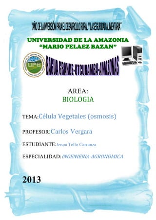 UNIVERSIDAD DE LA AMAZONIA
“MARIO PELAEZ BAZAN”

AREA:

BIOLOGIA
TEMA:Célula Vegetales (osmosis)
PROFESOR:Carlos

Vergara

ESTUDIANTE:Jerson Tello Carranza
ESPECIALIDAD:INGENIERIA AGRONOMICA

2013

 