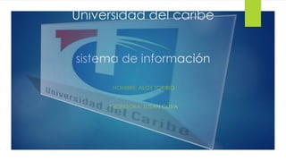 Universidad del caribe
sistema de información
NOMBRE: ALGY TORIBIO
PROFESORA: SUSAN OLIVA
 
