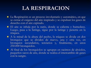 La Respiración es un proceso involuntario y automático, en que se extrae el oxigeno del aire inspirado y se expulsan los gases de desecho con el aire espirado. El aire se inhala por la nariz, donde se calienta y humedece. Luego, pasa a la faringe, sigue por la laringe y penetra en la tráquea. A la mitad de la altura del pecho, la tráquea se divide en dos bronquios que se dividen de nuevo, una y otra vez, en bronquios secundarios, terciarios y, finalmente, en unos 250.000 bronquiolos. Al final de los bronquiolos se agrupan en racimos de alvéolos, pequeños sacos de aire, donde se realiza el intercambio de gases con la sangre.  LA RESPIRACION 