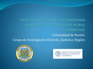 Universidad de Nariño
Grupo de Investigación Derecho, Justicia y Región
 