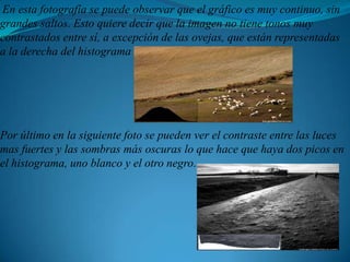 En esta fotografía se puede observar que el gráfico es muy continuo, sin grandes saltos. Esto quiere decir que la imagen no tiene tonos muy contrastados entre sí, a excepción de las ovejas, que están representadas a la derecha del histogramaPor último en la siguiente foto se pueden ver el contraste entre las luces mas fuertes y las sombras más oscuras lo que hace que haya dos picos en el histograma, uno blanco y el otro negro.