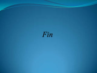 Fin 