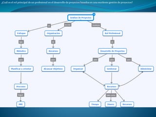 ¿Cuál es el rol principal de un profesional en el desarrollo de proyectos basados en una excelente gestión de proyectos?
 