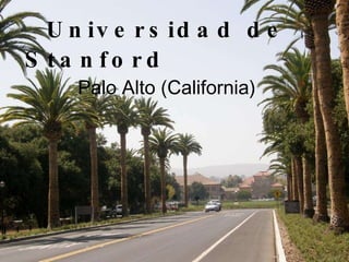Universidad de Stanford   Palo Alto (California) 