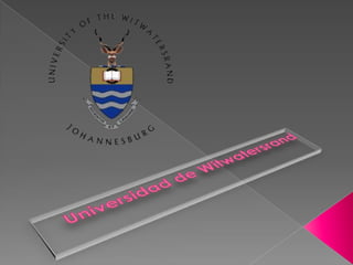 Universidad de witwatersrand