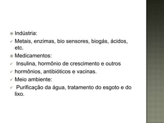  Indústria:
 Metais, enzimas, bio sensores, biogás, ácidos,
  etc.
 Medicamentos:
 Insulina, hormônio de crescimento e outros
 hormônios, antibióticos e vacinas.
 Meio ambiente:
 Purificação da água, tratamento do esgoto e do
  lixo.
 