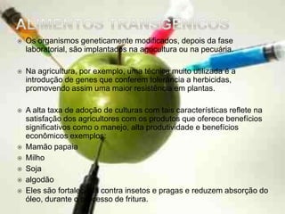    Os organismos geneticamente modificados, depois da fase
    laboratorial, são implantados na agricultura ou na pecuária.

   Na agricultura, por exemplo, uma técnica muito utilizada é a
    introdução de genes que conferem tolerância a herbicidas,
    promovendo assim uma maior resistência em plantas.

   A alta taxa de adoção de culturas com tais características reflete na
    satisfação dos agricultores com os produtos que oferece benefícios
    significativos como o manejo, alta produtividade e benefícios
    econômicos exemplos:
   Mamão papaia
   Milho
   Soja
   algodão
   Eles são fortalecidos contra insetos e pragas e reduzem absorção do
    óleo, durante o processo de fritura.
 
