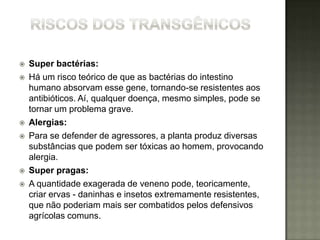    Super bactérias:
   Há um risco teórico de que as bactérias do intestino
    humano absorvam esse gene, tornando-se resistentes aos
    antibióticos. Aí, qualquer doença, mesmo simples, pode se
    tornar um problema grave.
   Alergias:
   Para se defender de agressores, a planta produz diversas
    substâncias que podem ser tóxicas ao homem, provocando
    alergia.
   Super pragas:
   A quantidade exagerada de veneno pode, teoricamente,
    criar ervas - daninhas e insetos extremamente resistentes,
    que não poderiam mais ser combatidos pelos defensivos
    agrícolas comuns.
 