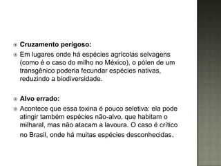    Cruzamento perigoso:
   Em lugares onde há espécies agrícolas selvagens
    (como é o caso do milho no México), o pólen de um
    transgênico poderia fecundar espécies nativas,
    reduzindo a biodiversidade.

   Alvo errado:
   Acontece que essa toxina é pouco seletiva: ela pode
    atingir também espécies não-alvo, que habitam o
    milharal, mas não atacam a lavoura. O caso é crítico
    no Brasil, onde há muitas espécies desconhecidas.
 