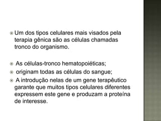  Um    dos tipos celulares mais visados pela
    terapia gênica são as células chamadas
    tronco do organismo.

 As células-tronco hematopoiéticas;
 originam todas as células do sangue;
 A introdução nelas de um gene terapêutico
 garante que muitos tipos celulares diferentes
 expressem este gene e produzam a proteína
 de interesse.
 