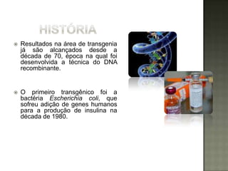    Resultados na área de transgenia
    já são alcançados desde a
    década de 70, época na qual foi
    desenvolvida a técnica do DNA
    recombinante.


   O primeiro transgênico foi a
    bactéria Escherichia coli, que
    sofreu adição de genes humanos
    para a produção de insulina na
    década de 1980.
 