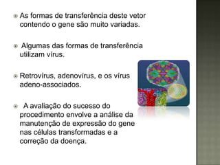    As formas de transferência deste vetor
    contendo o gene são muito variadas.

   Algumas das formas de transferência
    utilizam vírus.

   Retrovírus, adenovírus, e os vírus
    adeno-associados.

    A avaliação do sucesso do
    procedimento envolve a análise da
    manutenção de expressão do gene
    nas células transformadas e a
    correção da doença.
 