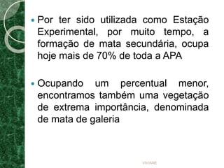  Por ter sido utilizada como Estação
Experimental, por muito tempo, a
formação de mata secundária, ocupa
hoje mais de 70% de toda a APA
 Ocupando um percentual menor,
encontramos também uma vegetação
de extrema importância, denominada
de mata de galeria
VIVIANE
 