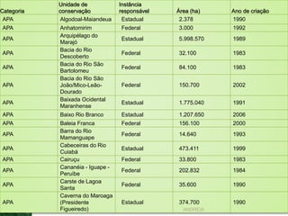Categoria
Unidade de
conservação
Instância
responsável Área (ha) Ano de criação
APA Algodoal-Maiandeua Estadual 2.378 1990
APA Anhatomirim Federal 3.000 1992
APA
Arquipélago do
Marajó
Estadual 5.998.570 1989
APA
Bacia do Rio
Descoberto
Federal 32.100 1983
APA
Bacia do Rio São
Bartolomeu
Federal 84.100 1983
APA
Bacia do Rio São
João/Mico-Leão-
Dourado
Federal 150.700 2002
APA
Baixada Ocidental
Maranhense
Estadual 1.775.040 1991
APA Baixo Rio Branco Estadual 1.207.650 2006
APA Baleia Franca Federal 156.100 2000
APA
Barra do Rio
Mamanguape
Federal 14.640 1993
APA
Cabeceiras do Rio
Cuiabá
Estadual 473.411 1999
APA Cairuçu Federal 33.800 1983
APA
Cananéia - Iguape -
Peruíbe
Federal 202.832 1984
APA
Carste de Lagoa
Santa
Federal 35.600 1990
APA
Caverna do Maroaga
(Presidente
Figueiredo)
Estadual 374.700 1990
ANDREIA
 
