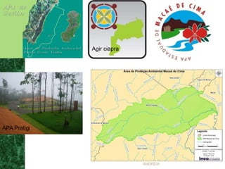 ANDREIA
APA Pratigi
Agir ciapra
 