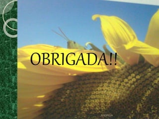 OBRIGADA!!
ANDREIA
 